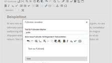 Screenshot of the field for entering footnote text in the WebCMS editor. 