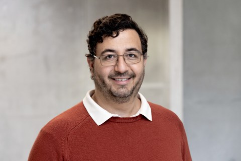 Prof. Dr. Daniel Caviedes-Voullième