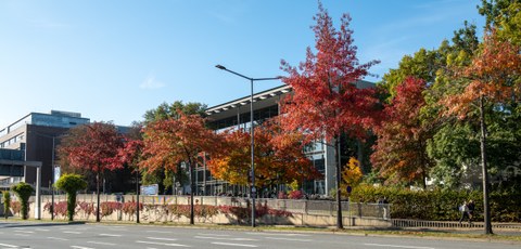 Foto des Hörsaalzentrums der TU Dresden an der Bergstraße mit 3 Bäumen mit Blattfärbung im Herbst im Vordergrund.