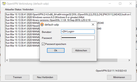 OpenVPN Eingaben Windows