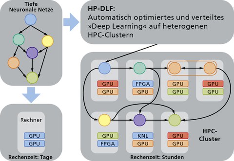 HPDLF Schema