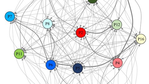 Prognostizierte Interaktionen der Zustandsübergänge zwischen 16 verschiedenen Glioblastom-Zelltypen: Jeder Zelltyp kann in einem oder mehreren Schritten in jeden anderen übergehen.