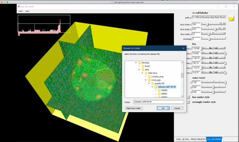 Screenshot einer Visualisierung um mithilfe von 3D-Mikroskopie dynamische Zell- und Gewebebildungsprozesse zu verstehen.