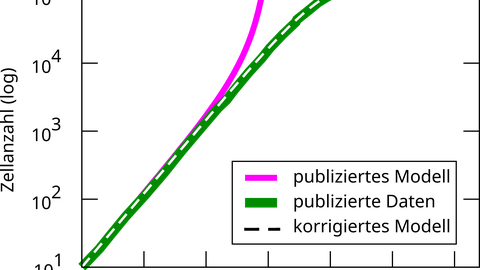 Kurvendiagramm zum Gewebewachstum mit drei Verläufen: eine grüne Referenzkurve mit logistischer Sättigung, eine abweichende rote Kurve mit stärkerem Wachstum sowie eine gestrichelte Kurve, die nach Parameterkorrektur wieder mit der Referenz übereinstimmt.