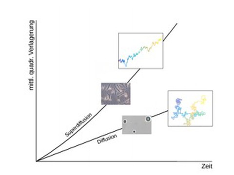 Diffusionsbewegung in Zellen