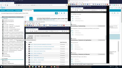 Screenshot: Peer Feedback