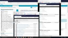 Screenshot: Peer Feedback