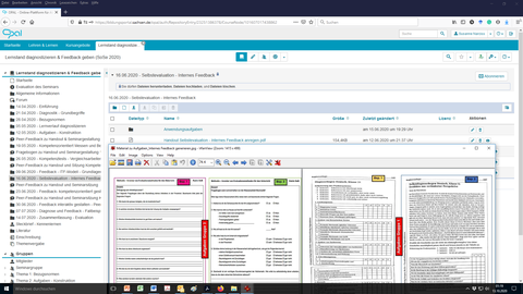 Screenshot: Beispiel Internes Feedback generieren in OPAL