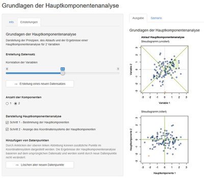 Screenshot: Grundlagen der Kauptkomponentenanalyse