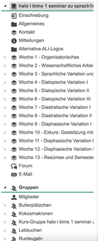 Screenshot: Kursstruktur und Gruppeneinteilung auf OPAL
