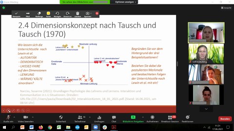 Screenshot: Videokonferenz