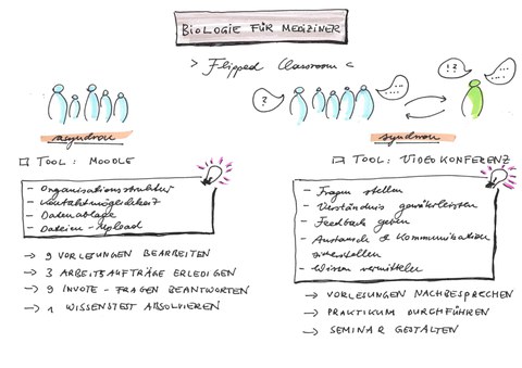 Collage: Lecture overview