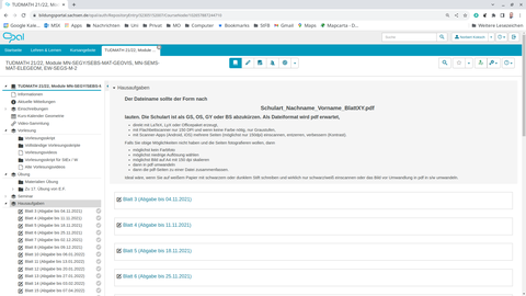 Screenshot: OPAL-Kurs Hausaufgaben