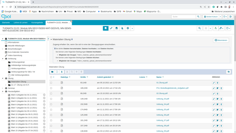 Screenshot: OPAL-Kurs Übungsaufgaben