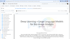 Screenshot einer Website namens „github.com“. Auf der linken Seite ist ein Navigationsbaum mit Ordnern zu sehen. Der Rest der Seite wird von einem weißen Rechteck eigenommen. In der Mitte steht „Deep Learning + Large Language Models for Bio-image Analysis. Robert Haase“. 