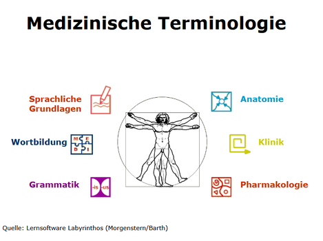 Überschrift: Medizinische Terminoligie, Grafik in der Mitte: Leonardo Da Vincis Zeichnung des vitruvianischen Menschen in Kreis und Viereck, daum verteilt Icons zu den Themen: Sprachliche Grundlagen, Wortbildung, Grammatik, Anatomie, Klinik, Pharmakologie