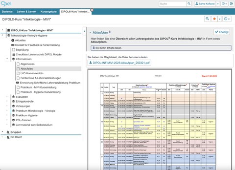 Screenshot OPAL-Kurs, zu sehen ist eine Seite mit dem Ablaufplan