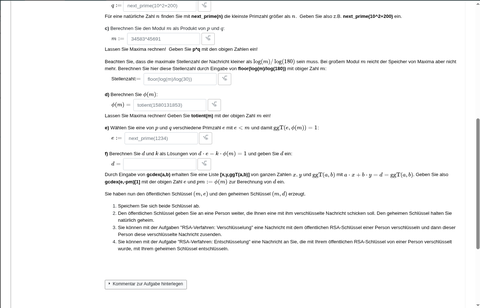 Screenshot: Online-Aufgabe zum Thema RSA mit Lückentextfeldern