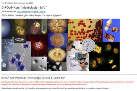 Zusammenschnitt verschiedener Vieren und Mikroorganismen, die unter dem Mikroskop betrachtet werden