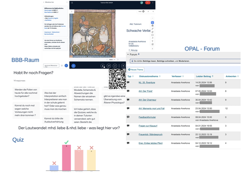 Collage aus 4 Screenshots. Die ersten beiden Screenshots, oben mittig und links angeordnet, zeigen eine Videokonferenz. Daneben steht "BBB-Raum". Der Screenshot auf der linken Seite ist mit "OPAL-Forum" beschriftet und zeigt 8 Forumseinträge auf OPAL. Der Screenshot am unteren Abbildungsrand ist mit "Quiz" beschriftet und zeigt ein Balkendiagramm. Drei der 4 Balken sind mit einem roten Kreuz gekennzeichnet, der 4. und größte Balken mit einem grünen Häkchen. 