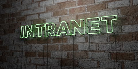 Neon sign reading “INTRANET” in green letters mounted on a brick wall.