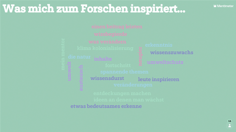 Antworten Umfrage Inspiration Forschen