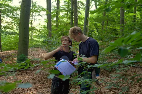 Two young men stand in a green forest, looking at a sheet of paper together. One gazes thoughtfully upward while the other looks down at the paper. Branches and leaves frame the scene in the foreground.