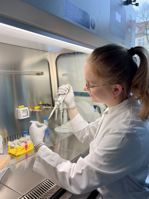 Person im Laborkittel arbeitet an einer Sicherheitswerkbank und pipettiert Proben in der Zellkultur.