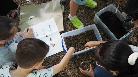 Kinder spielen mit Erde und pflanzen etwas ein