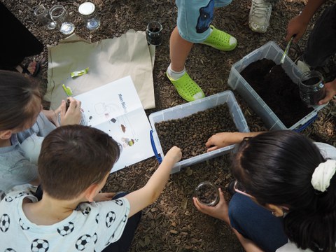 Kinder spielen mit Erde und pflanzen etwas ein