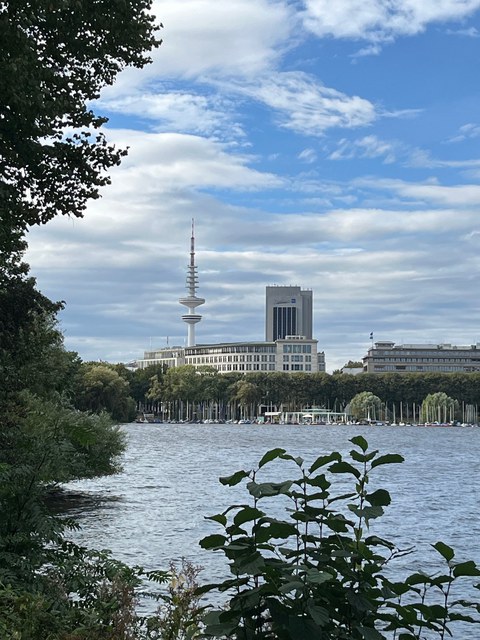 Foto eines Flusses, im Hintergrund ist ein Fernsehturm zu sehen.