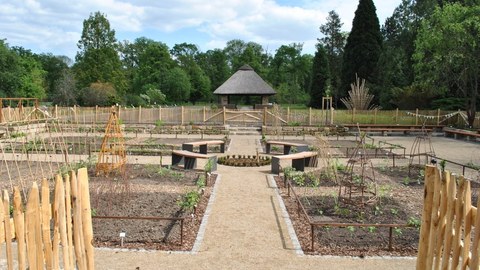 Foto zeigt einen Nutzgarten mit verschiedenen Beeten.