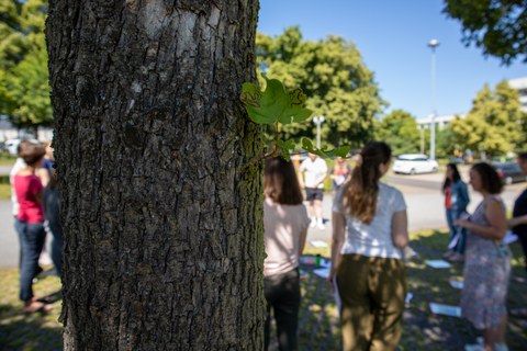 Ein Baum im Vordergrund, junge Menschen im Hintergrund