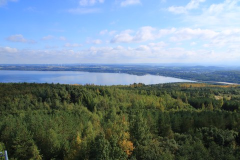 Foto des Berzdorfer Seesmit Wald drum herum