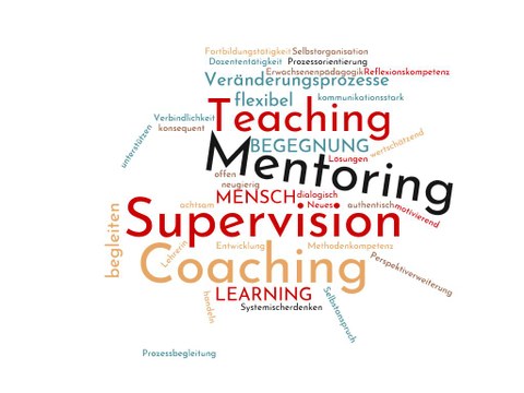 Grafik, die aus verschiedenen Wörtern, wie zum Beispiel "Teaching", "Mentoring", "Supervision", "Coaching" und "Veränderungsprozesse", besteht