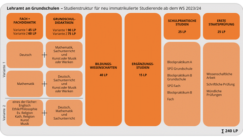 Studienstruktur Lehramt an Grundschulen für neu immatrikulierte Studierende ab WS 2023/24