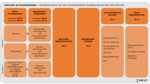 Studienstruktur Lehramt an Grundschulen für neu immatrikulierte Studierende ab WS 2023/24