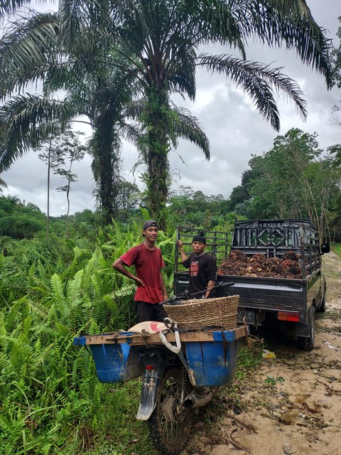 Foto von zwei Arbeitern im Dschungel mit Motorroller und Geländewagen