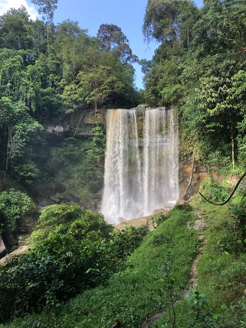 Bild eines Wasserfalls im Dschungel