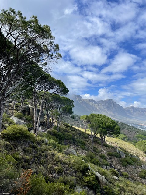 Eine bergige grüne Landschaft