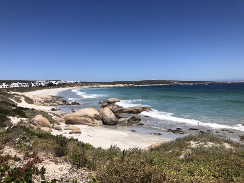 Strand mit etwas Vegetation im Vordergrund