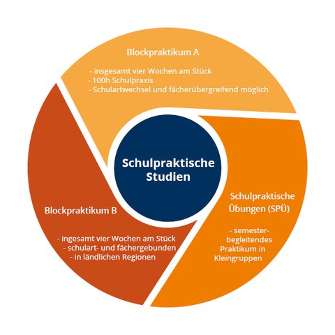 Diagram Aufbau Schulpraktische Studien im Lehramt