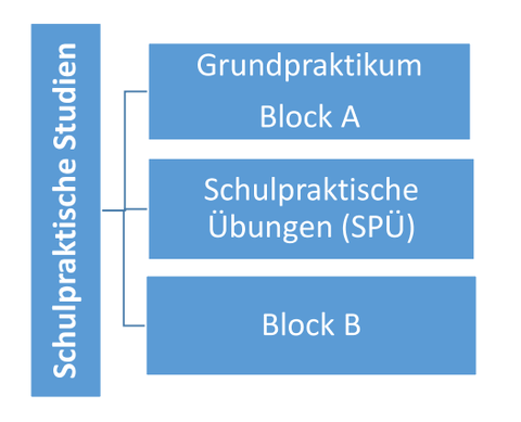 Schema Schulpraktische Studien