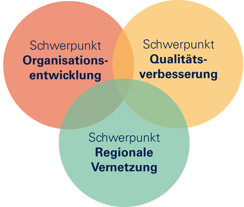 Grafik, in der 3 bunte Kreise abgebildet sind, die sich teilweise überlappen. In den Kreisen stehen die 3 Schwerpunkte von TUD-Sylber: Organisationsentwicklung, Qualitätsverbesserung und Regionale Vernetzung.