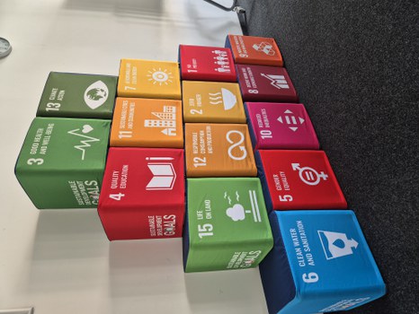 BNE Würfel zur Visualisierung der Sustainable Development Goals