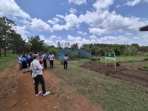 Bewirtschafteter Schulgarten in Uganda