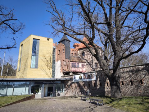 Bild eines Gebäudes, das eine gelb orangene Fassade hat. Im Vordergrund ist ein großer Baum zu sehen.