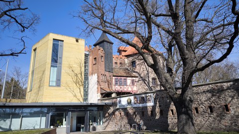 Bild eines Gebäudes, das eine gelb orangene Fassade hat. Im Vordergrund ist ein großer Baum zu sehen.