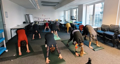 Im Bild sieht man Teilnehmende des BQL-Programms bei einer Yoga-Pause. Alle begeben sich gerade in einem Seminarraum auf ihrer Matte in die Haltung des "herabschauenden Hundes", sodass man frontal auf die Gruppe sieht und die Gesichter nicht sehen kann, da alle herunterschauen.
